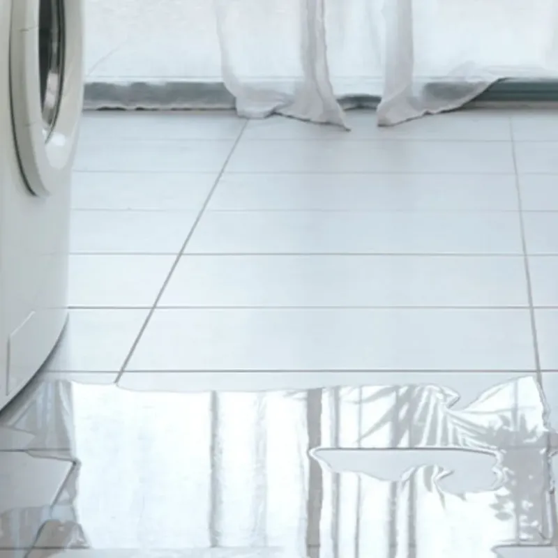 Appliance Leak Cleanup in Kirbyville, TX