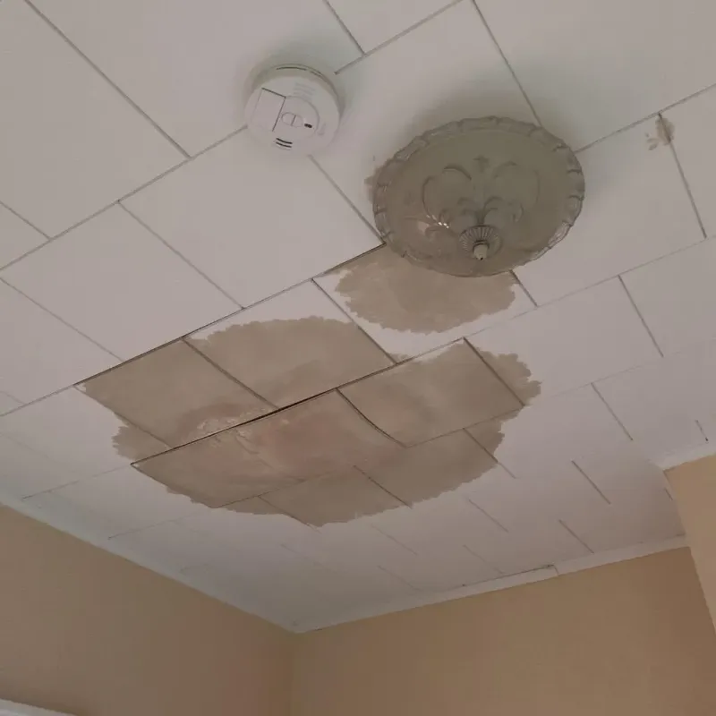 Ceiling Water Damage Repair in Kirbyville, TX