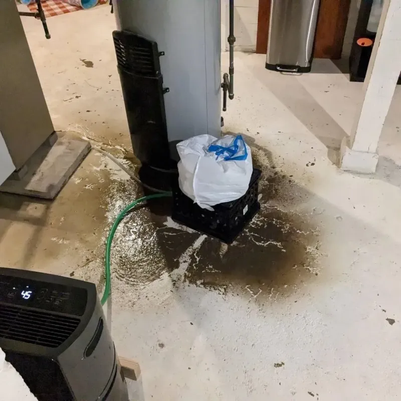 Sewage Backup Cleanup Service in Kirbyville, TX
